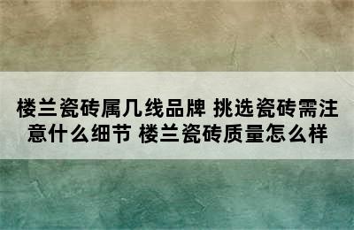 楼兰瓷砖属几线品牌 挑选瓷砖需注意什么细节 楼兰瓷砖质量怎么样